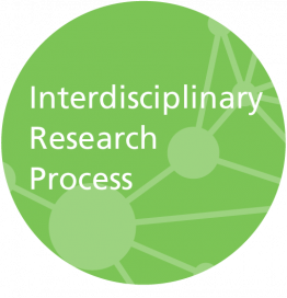 Interdisciplinary Research Process